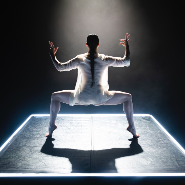 IMG_6177_Whisper_Bowie_Verschuuren_-_Kalpanarts_-_Arts_Reimagined-6c09717c.jpg